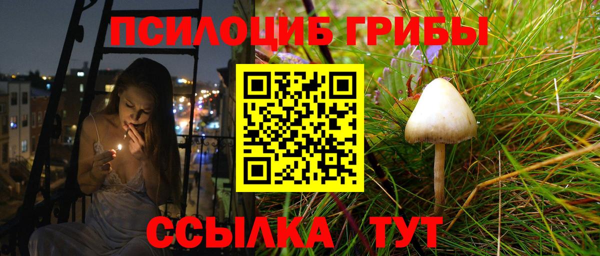 Верхний Уфалей  где купить наркоту  Вход с VPN  Галлюциногенные грибы MAGIC MUSHROOMS  Галлюциногенные грибы GOLDEN TEACHER 