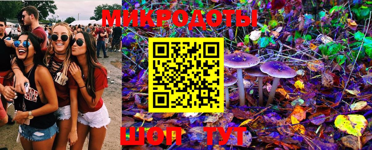 Псилоцибиновые грибы GOLDEN TEACHER Верхний Уфалей